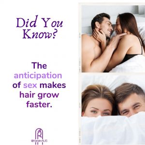 The anticipation ofThe anticipation of sex makes hair grow faster sex makes hair grow faste